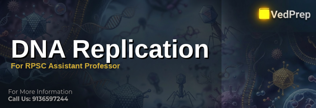 Step-by-step illustration of the dna replication process showing helicase, polymerase, and Okazaki fragments