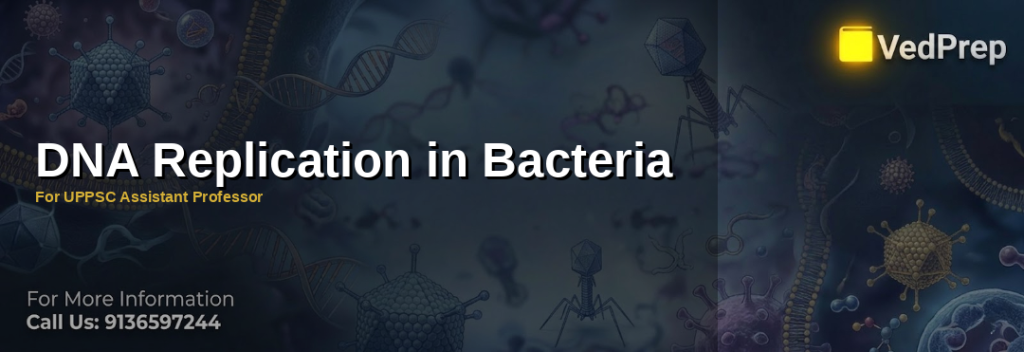 Illustration showing the 10 critical steps of bacterial DNA replication with enzymes and replication forks