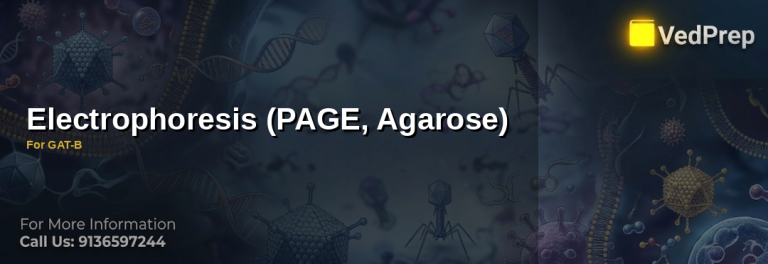 Agarose electrophoresis techniques: step-by-step guide for GAT-B molecular biology exam prep