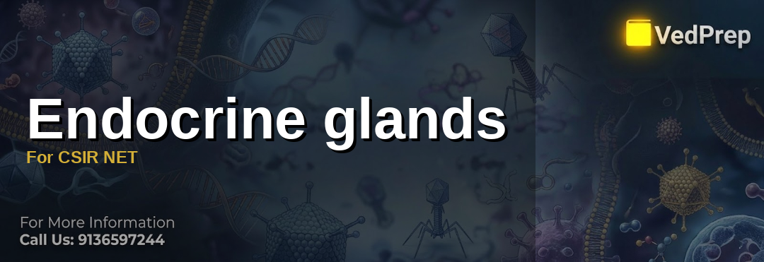 Endocrine glands For CSIR NET 2026: Proven Success Guide - Vedprep Main ...
