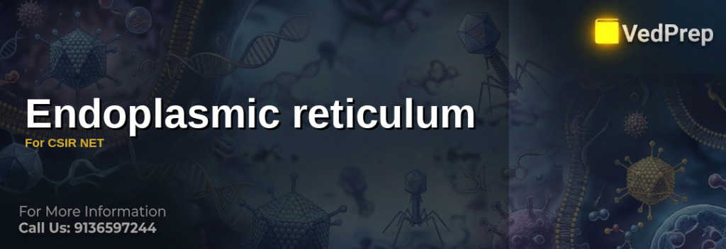 Endoplasmic reticulum For CSIR NET