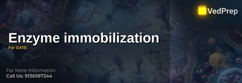 Enzyme immobilization