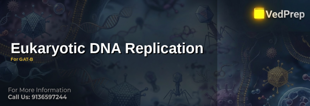 A detailed diagram illustrating the process of eukaryotic DNA replication with labeled enzymes and replication forks
