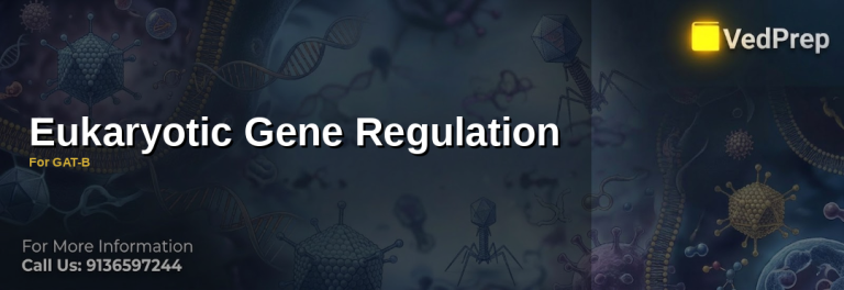 A detailed molecular diagram illustrating eukaryotic gene regulation mechanisms, including transcription factors, enhancers, and chromatin remodeling for GAT-B preparation