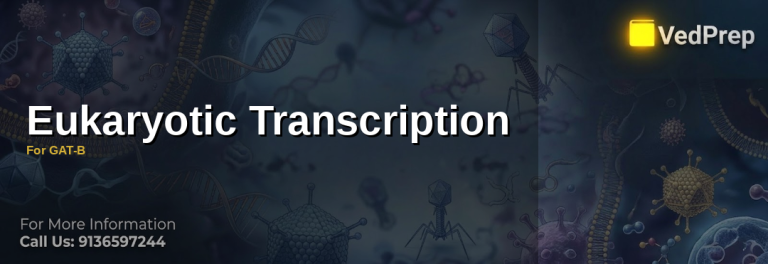 Diagram of eukaryotic transcription process showing RNA polymerase II and transcription factors