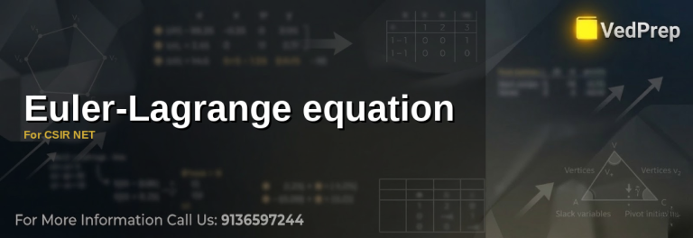 Euler-Lagrange