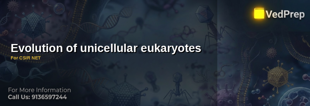 Evolution of unicellular eukaryotes