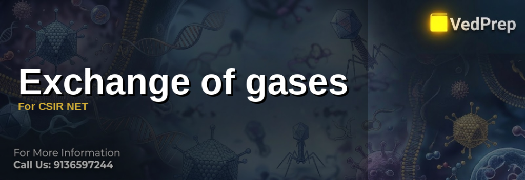 Exchange of Gases