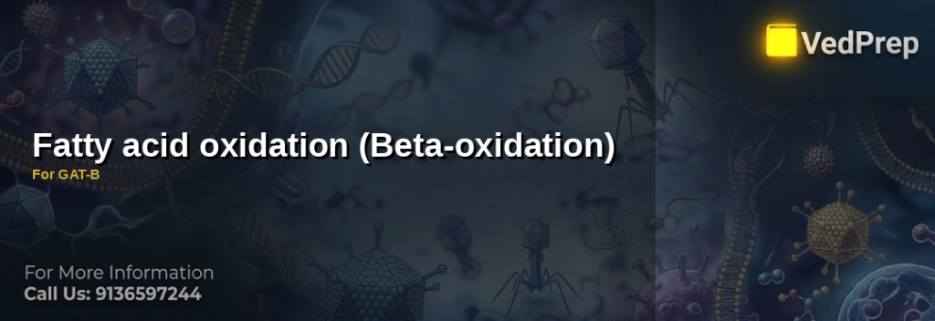 beta oxidation steps explained – VedPrep exam preparation guide
