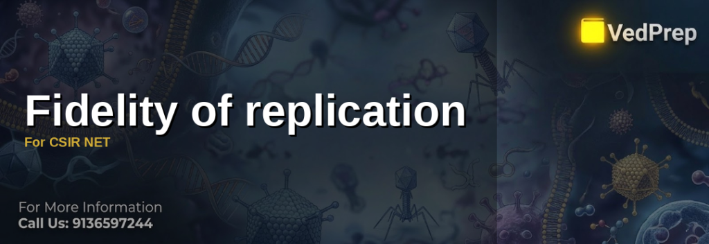 Fidelity of replication