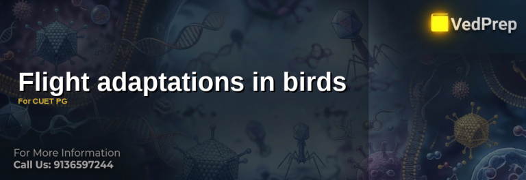 Diagram of flight adaptations in birds showing streamlined body, hollow bones, and wing structure