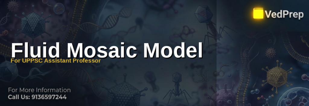 Illustration of the fluid mosaic model showing phospholipid bilayer with embedded proteins for UPPSC Assistant Professor exam preparation
