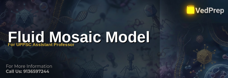 Illustration of the fluid mosaic model showing phospholipid bilayer with embedded proteins for UPPSC Assistant Professor exam preparation