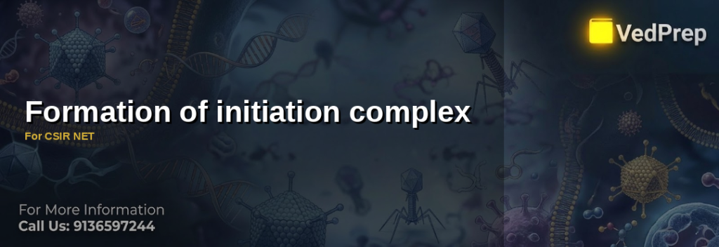Formation of initiation complex