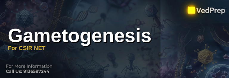 Gametogenesis For CSIR NET 2026: Proven Tips for Success - Vedprep Main ...