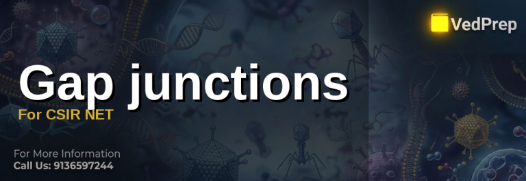 Gap junctions For CSIR NET