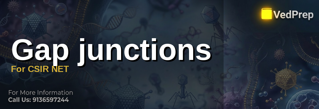 Master Gap junctions For CSIR NET: Key Concepts and Conservative ...