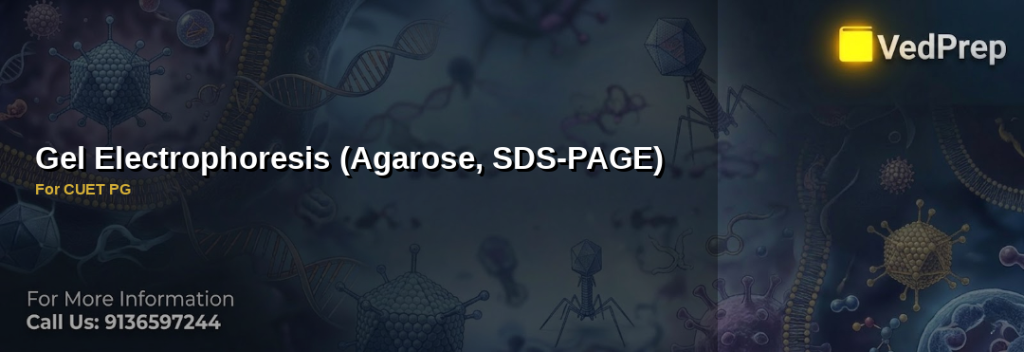 Gel Electrophoresis (Agarose, SDS-PAGE) for cuet pg