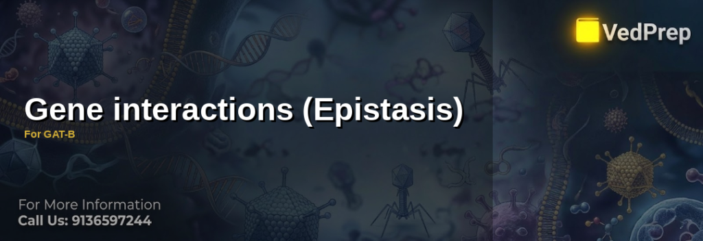Understanding epistasis explained through genetic interaction diagrams and phenotypic ratios for GAT-B preparation