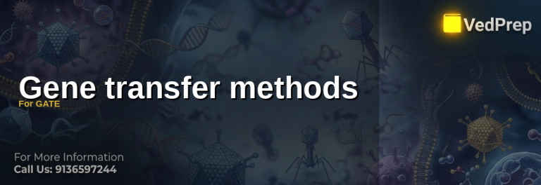 Gene transfer methods