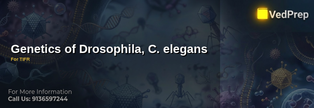 Drosophila C elegans genetics study guide for TIFR preparation with model organisms and genetic mapping diagrams