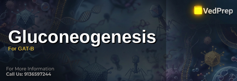 Illustration of the gluconeogenesis pathway showing key enzymes and metabolic intermediates