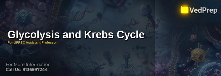 Step-by-step diagram illustrating glycolysis and Krebs cycle pathways for biochemistry mastery