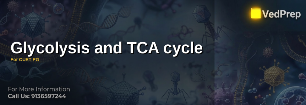 A detailed diagram illustrating the glycolysis and TCA cycle pathways, highlighting key enzymes and energy production stages for CUET PG preparation