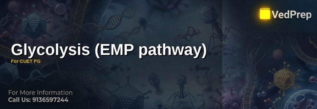 A detailed diagram illustrating the glycolysis pathway, highlighting key enzymes and ATP production steps for CUET PG preparation