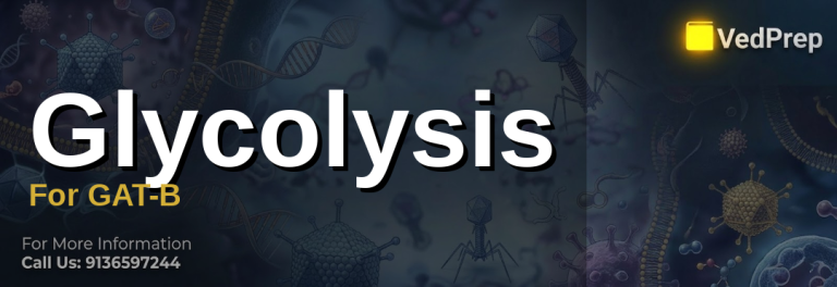 A detailed biochemical pathway diagram of glycolysis for GAT-B preparation, highlighting key enzymes and energy yield
