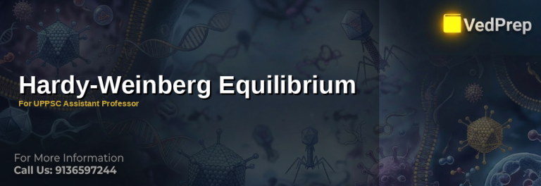 A scientist analyzing Hardy-Weinberg Equilibrium principles in a genetics lab