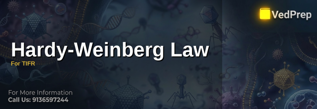 Hardy-Weinberg Law Explained: Visualizing Genetic Equilibrium in Populations