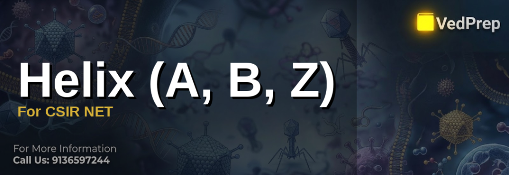 Helix A B Z For CSIR NET