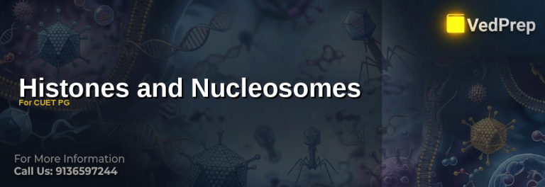 Illustration of histones and nucleosomes showing DNA wrapped around histone proteins