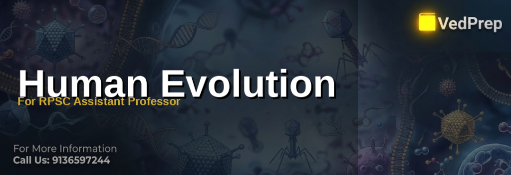 Human evolution concepts timeline showing key milestones from hominin ancestors to Homo sapiens