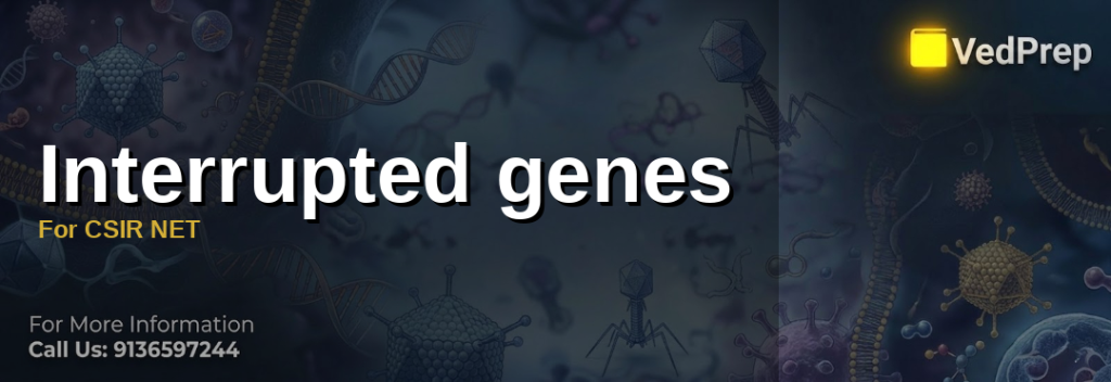 Interrupted genes For CSIR NET