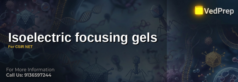 Isoelectric Focusing Gels