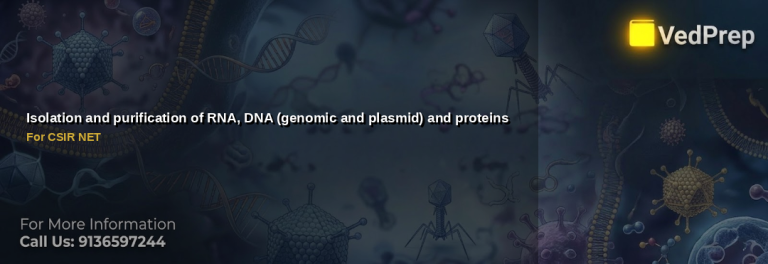Isolation and purification of RNA