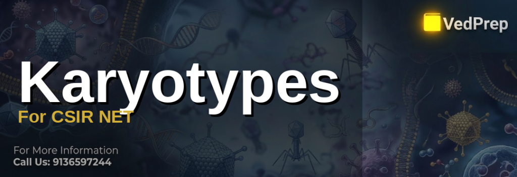 Karyotypes