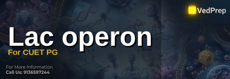 A detailed molecular diagram of the lac operon mechanism showing gene regulation in E. coli with labeled repressor, operator, and structural genes