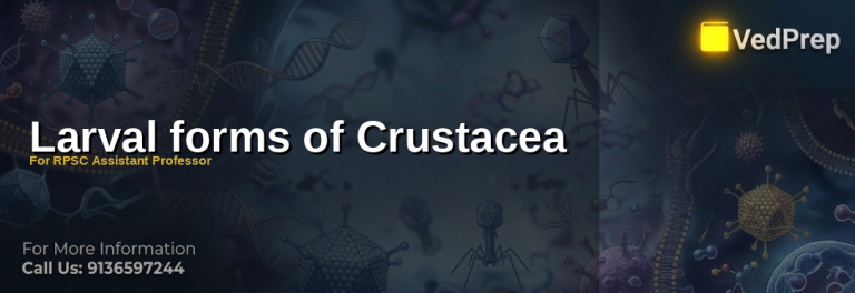 Larval forms of Crustacea