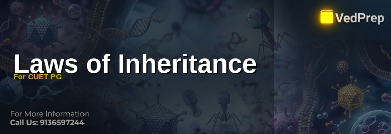 laws of inheritance for CUET PG