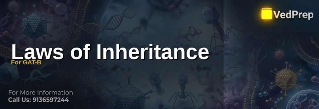 Mastering the fundamental laws of inheritance for GAT-B with Mendelian genetics principles