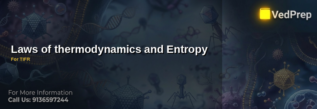 Thermodynamics entropy principles illustrated with molecular disorder patterns for TIFR exam preparation