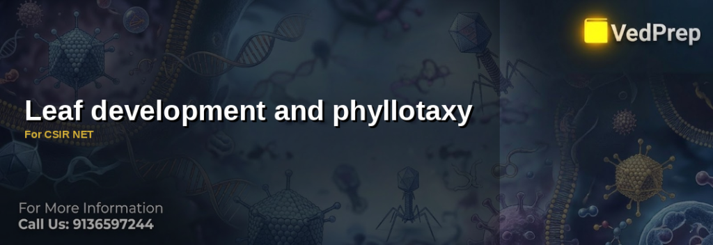 Leaf development and phyllotaxy