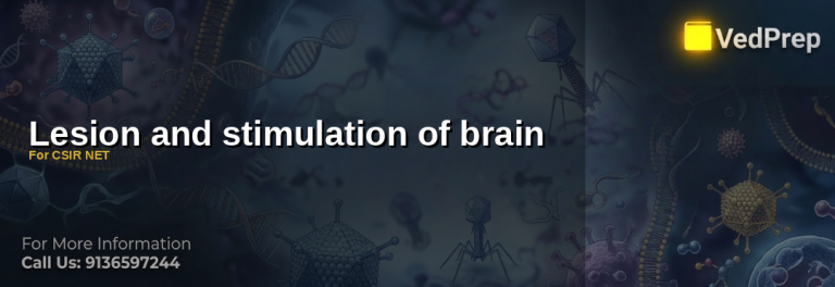 Lesion and stimulation of brain