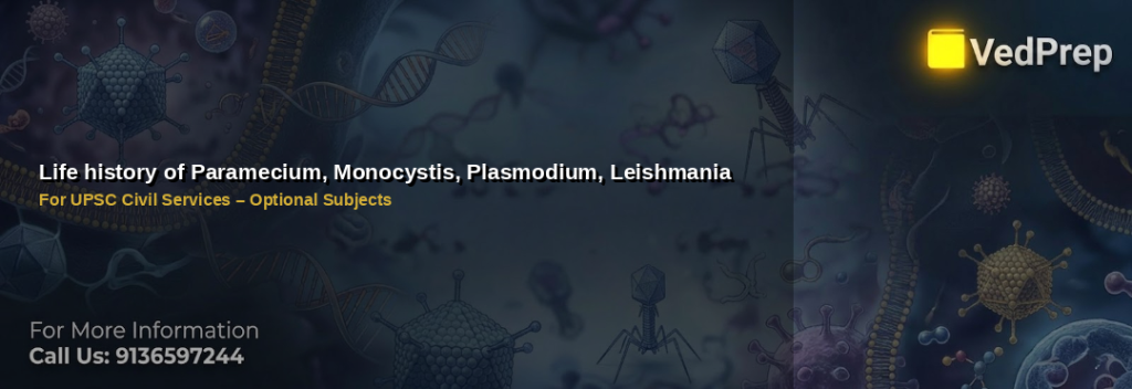life history protozoa explained – VedPrep exam preparation guide