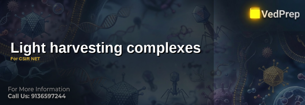 Light harvesting complexes