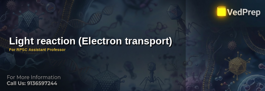 electron transport in photosynthesis explained – VedPrep exam preparation guide