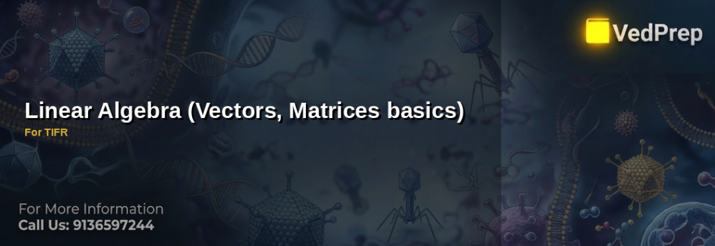 A detailed infographic explaining vectors matrices basics for TIFR exams with visual representations of vector operations and matrix transformations